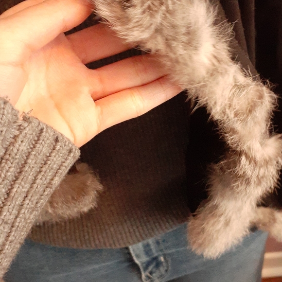 100% Real Rabbit Fur Scarf - Picture 5 of 8